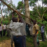 Yokohama\'s zoological experts visit the Uganda Wildlife Education Centre to exchange veterinary techniques and environmental information. | ISTOCK/MIROSLAV_1, CITY OF YOKOHAMA, EMBASSY OF KENYA