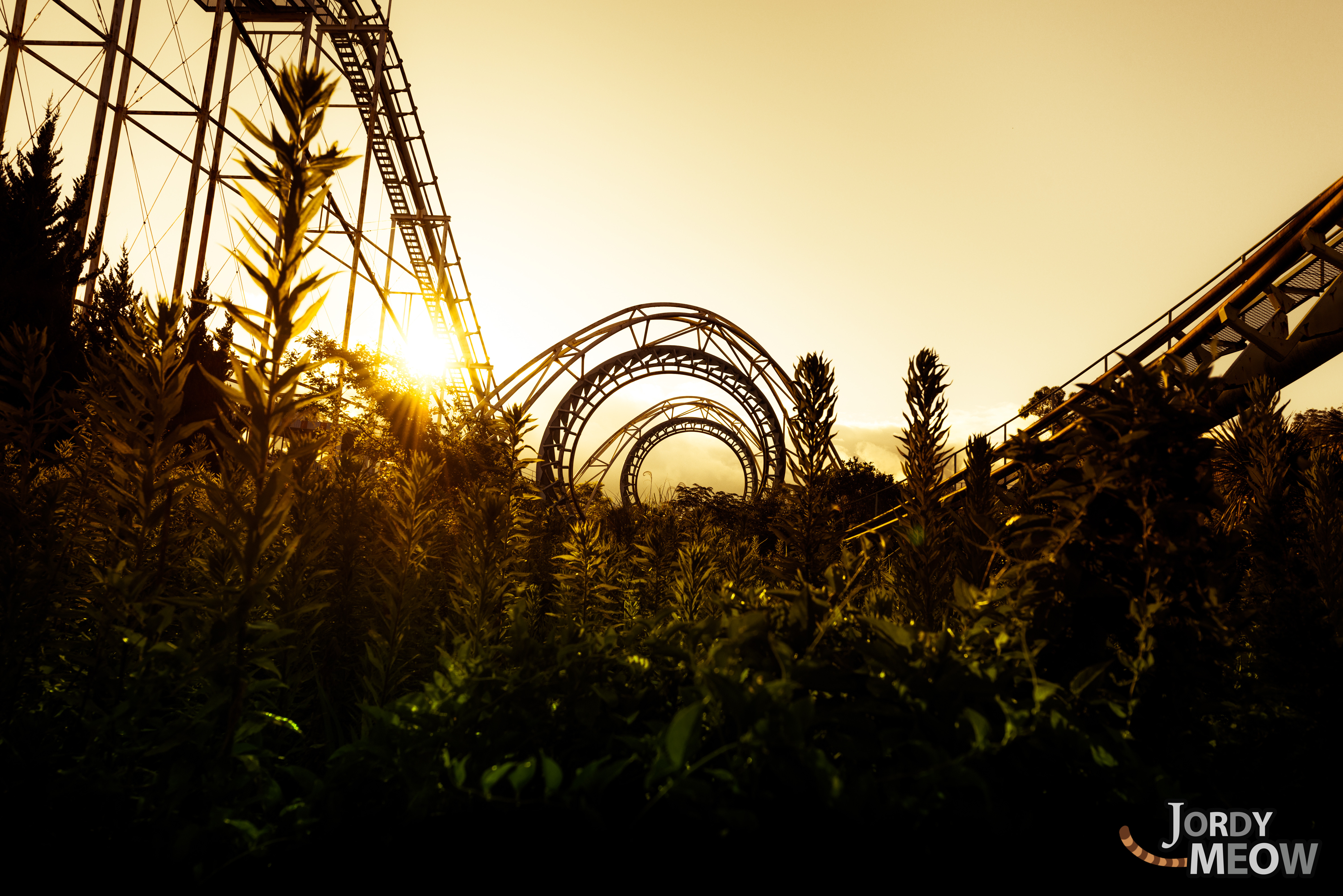 Deep in the weeds: Nara Dreamland's wooden rollercoaster is surrounded by dense undergrowth. | JORDY MEOW