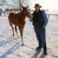 Harry Sweeney, owner of Paca Paca Farm in Hidaka, Hokkaido.  | DAVID MCNEILL