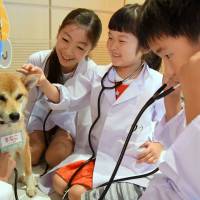 Children get to see what it\'s like being a veterinarian while others try out Paralympic track and field gear Tuesday during the Kids Jamboree in Marunouchi, a summer event that runs through Thursday in the central Tokyo district. | SATOKO KAWASAKI