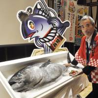 Hyoshoku Co. President Haruo Kakuda shows a bluefin tuna grown with formulated feed in the city of Oita on Wednesday. | KYODO