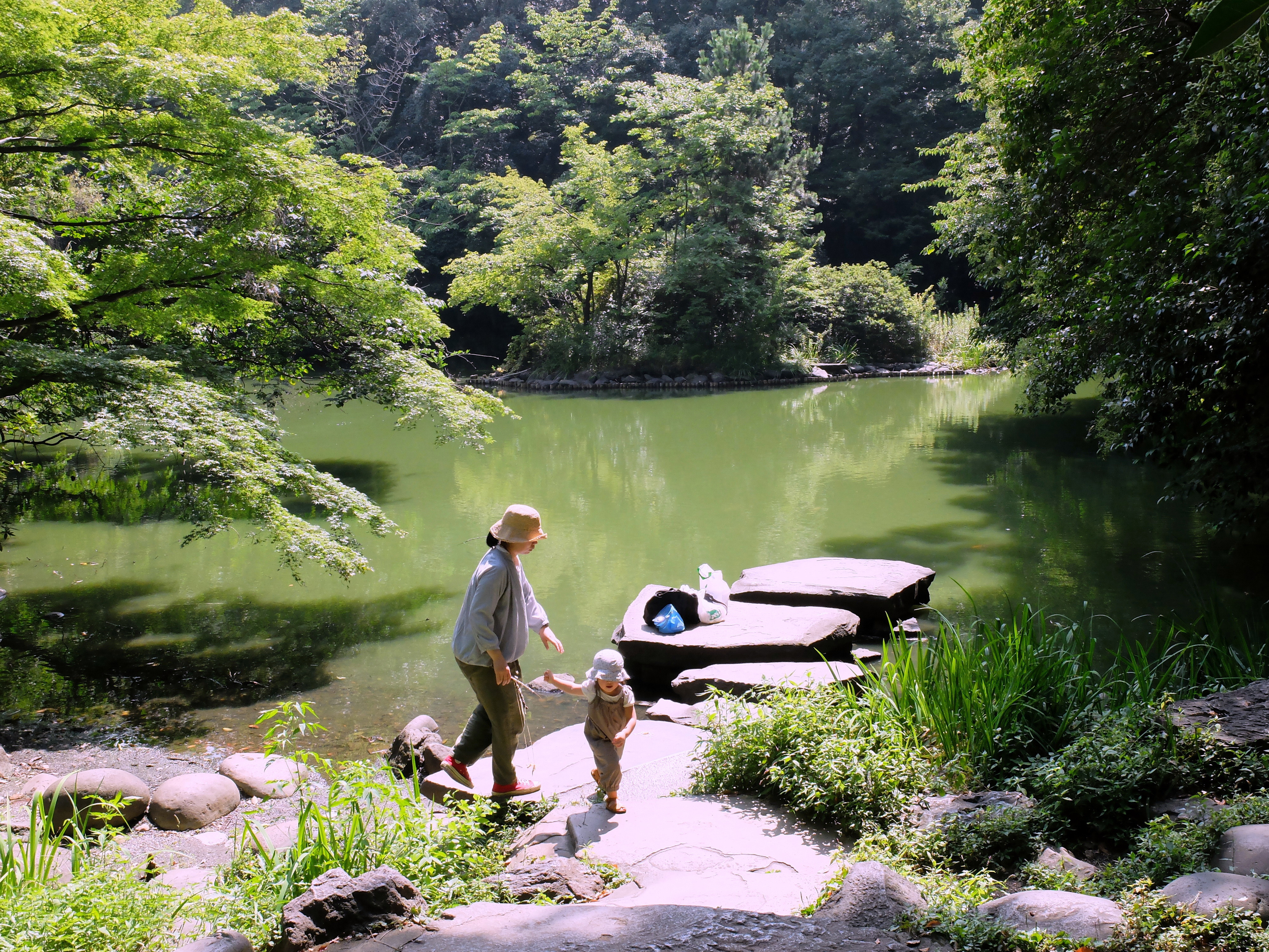 A mother and child play by a pond at the University of Tokyo. The green campus in Bunkyo Ward offers the public a chance to enjoy nature.