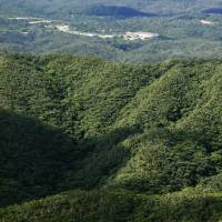 The evergreen forest region of Yanbaru in northern Okinawa was designated a national park on Thursday. | KYODO