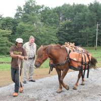 C.W. Nicol looks on proudly as Chacha Maru, one of the trust’s first two horses, is led past loaded with panniers specially designed for planned “mountain safaris” for guests. | COURTESY OF AFAN WOODLAND TRUST