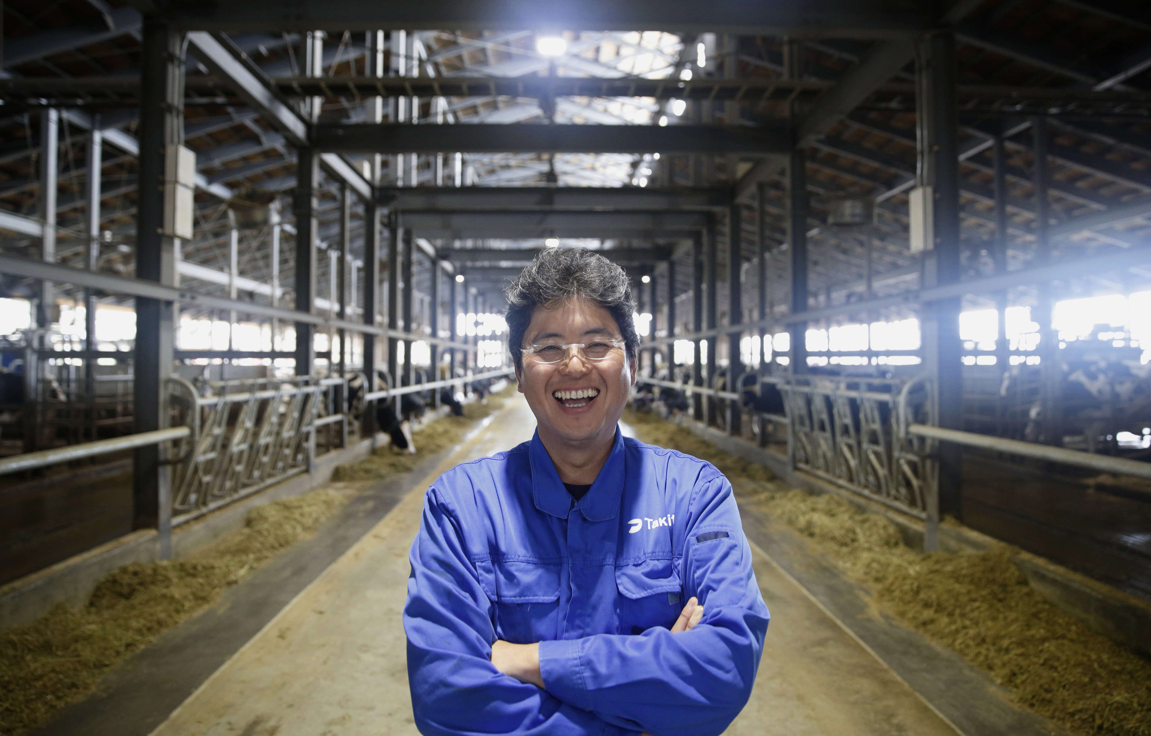 robotics in the dairy industry robotics in the dairy industry