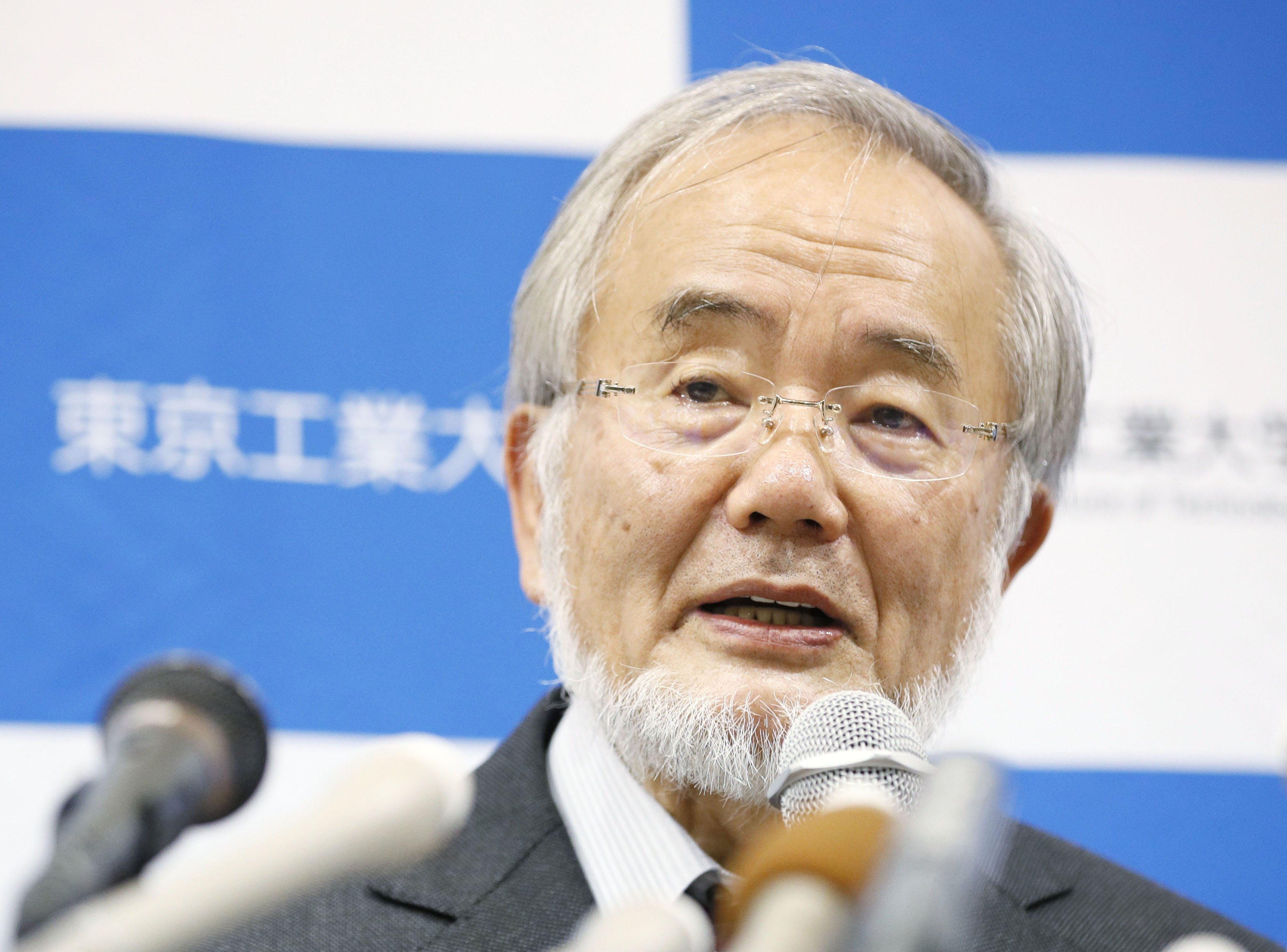 Yoshinori Ohsumi holds a news conference Monday at the Tokyo Institute of Technology. | KYODO
