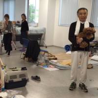 Pet owners displaced by earthquakes in the Kyushu region in April shelter at an animal hospital in the city of Kumamoto in early May. | COURTESY OF RYUNOSUKE ANIMAL HOSPITAL