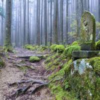 Part of the Kumano Kodo. UNESCO originally designated the majority of these routes as World Heritage sites in 2004. | ISTOCK