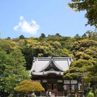 Shuzenji is also the name of a local temple where Minamoto no Yoriie was imprisoned. | BARON VALIUM, VIA FLICKR / CC BY-SA 2.0