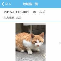 A screen shot of the Nyanda Land smartphone application, released by Urayasu, Chiba Prefecture, earlier this month. | COURTESY OF RYUNOSUKE ANIMAL HOSPITAL