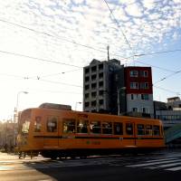 A Toei Arakawa Line streetcar passes by Asukayama Park in Tokyo\'s Kita Ward on Oct. 20. | SATOKO KAWASAKI