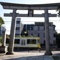 A streetcar passes Oguhachiman Shrine in Tokyo\'s Arakawa Ward. | SATOKO KAWASAKI