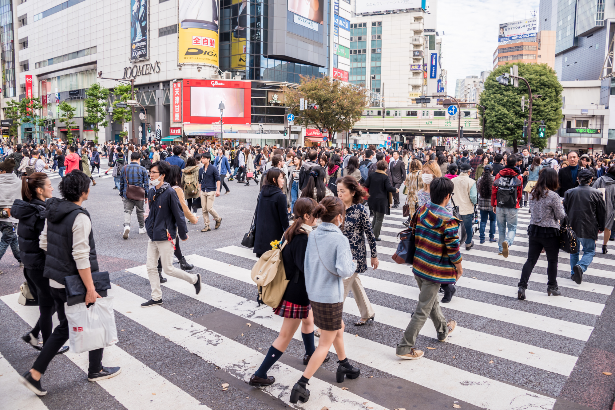 Young Japanese today prefer security and show little of the 'animal spirit' needed to help realize Prime Minister Shinzo Abe's vision of a 'great entrepreneurial nation,' experts say. | ISTOCK