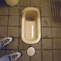 The majority of toilets in Japanese schools are of the squat variety, a survey has found. | ISTOCK