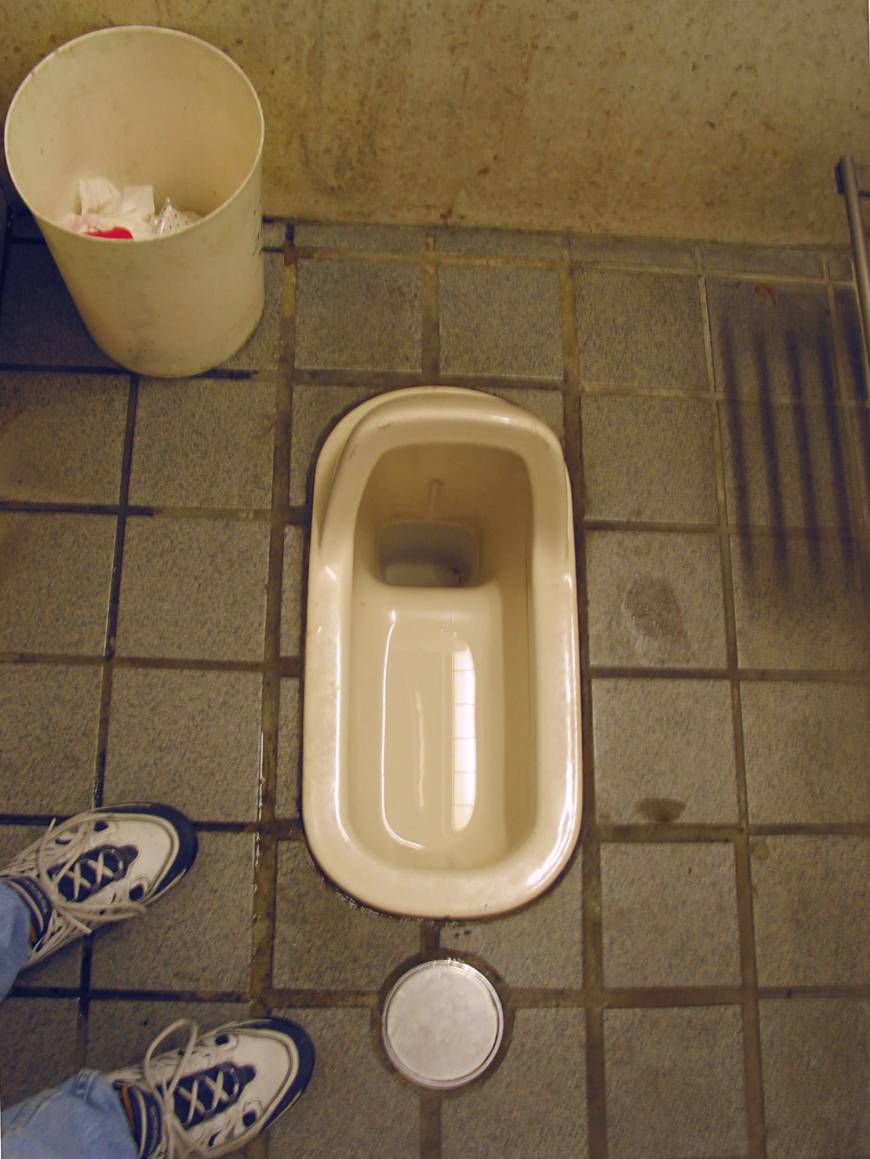 Majority of toilets in Japanese schools are squat toilets: survey | The