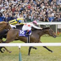 Mikki Isle comes home to win the Mile Championship on Sunday at Kyoto Racecourse. | KYODO