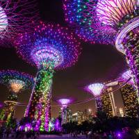 Solar-powered \'Supertrees\' at Gardens by the Bay are illuminated in front of the Marina Bay Sands hotel and casino in Singapore in March 2015. | BLOOMBERG