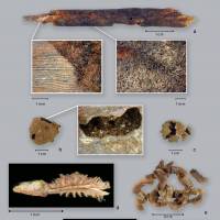 A handout picture released by the Archaeological Mission in the Sahara of the Sapienza University of Rome on Monday shows preserved archaeobotanical remains from Takarkori rock shelter (Tadrart Acacus, SW Libya), dated from around 9,500 years ago. Humans used ceramic pots to cook wild plants more than 10,000 years ago, well before the advent of agriculture, researchers reported Monday. The findings are the earliest direct proof that our species processed plants for food. Long before farming, humans cooked plants for food in ceramic pots 10,000 years ago: study