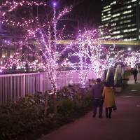 Pedestrians walk past cherry trees decorated with LED lights along the Meguro River in Tokyo earlier this month. Holiday lights burn bright along Meguro River thanks to biodiesel fuel initiative