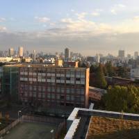 Cityscape: The view from C.W. Nicol\'s room at the Japan Red Cross Medical Center in Tokyo includes some nearby eco-rooftops planted with vegetation. | CONAN WAKELY/AFAN WOODLAND TRUST