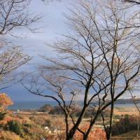 The view from the deck at the front of the school overlooking the Higashi-Matsushima suburb of Nobiru that was devastated by the tsunami. | COURTESY OF C.W. NICOL AFAN WOODLAND TRUST