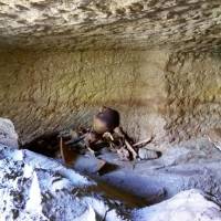 Skeletal and animal remains are seen at one of 12 newly discovered ancient Egyptian cemeteries dating back to the New Kingdom era north of Aswan on Wednesday. | MINISTRY OF ANTIQUITIES / VIA REUTERS