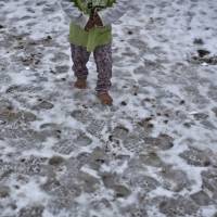 A Syrian refugee child walks barefoot on frozen ground at the refugee camp of Ritsona about 86 km (53 miles) north of Athens, Wednesday. The European Commission said conditions for refugees on islands and other camps where they are housed in tents despite severe cold weather, is \"untenable.\" | AP