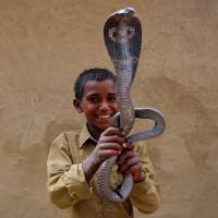 A boy poses with a cobra in Jogi Dera, India. | REUTERS