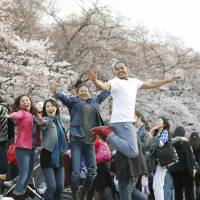 People jump for joy at Tokyo\'s Ueno Park, one of the most famous cherry-blossom viewing sites. | KYODO