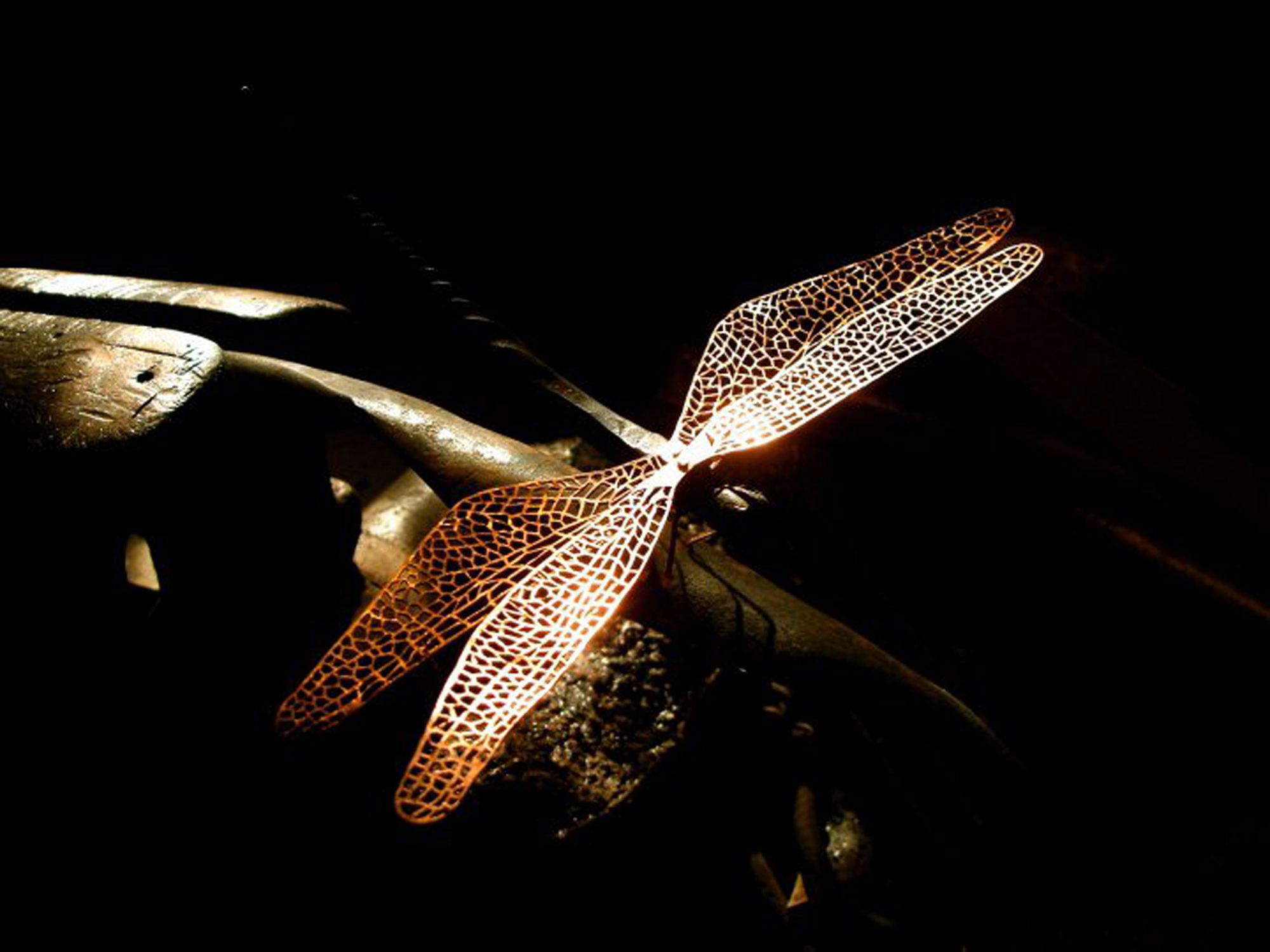 TOKYO Ginki (Silversmithing) | Japan Traditional Crafts