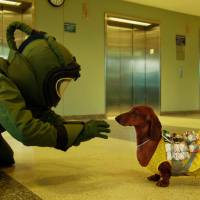 © 2015 WHIFFLE BALLER, LLC. ALL RIGHTS RESERVED 'Wiener-Dog': Todd Solondz is always painfully funny
