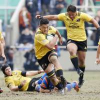 Suntory\'s Hendrik Tui carries the ball during the Sungoliath\'s 15-10 win over the Panasonic Wild Knights in the final of the All-Japan Championship on Sunday. | KYODO