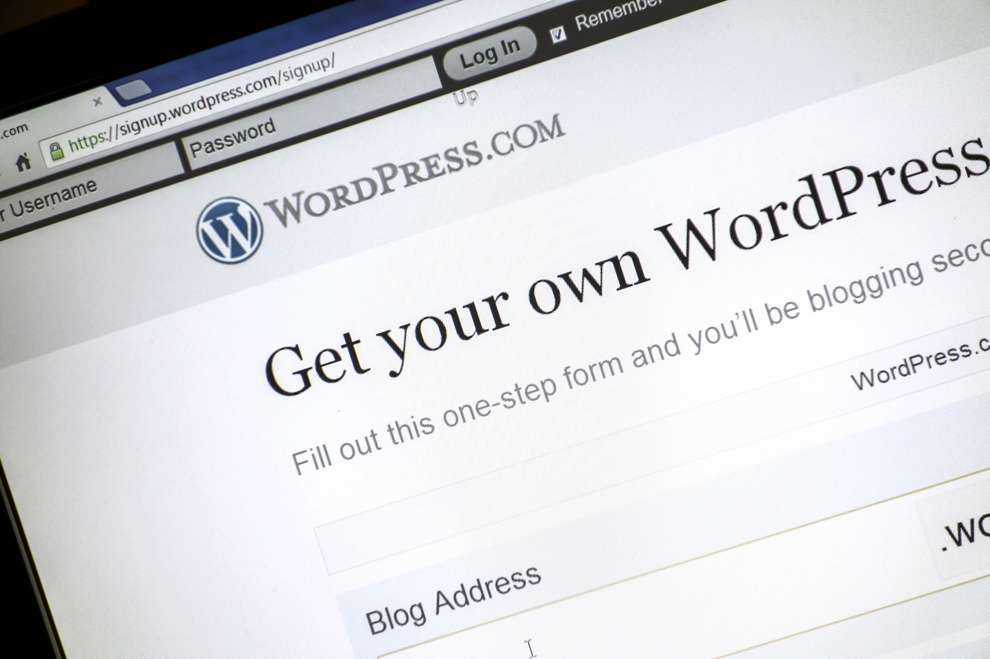 The Information-technology Promotion Agency (IPA) Japan released a warning Tuesday urging website administrators to update WordPress to the latest version 'immediately.' | ISTOCK