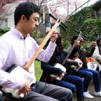 Participants at a special cultural event will be provided with English materials, and receive interpreted instructions explaining the \"shamisen\" and the history of \"nagauta.\" | ISTOCK