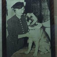 Activist Helen Keller is believed to be the first person to take an Akita to the United States. | MANAMI OKAZAKI