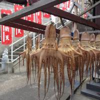 Octopuses dry in the open air on Himakajima, Aichi Prefecture. | KATHRYN WORTLEY