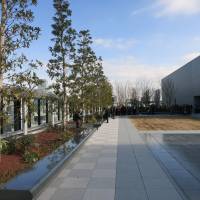The Ginza Six shopping and office complex in central Tokyo opened its rooftop garden to the media on Wednesday. Built on the grounds where the Ginza outlet of the Matsuzakaya department store previously stood, the new complex is set to open in April. | KAZUAKI NAGATA
