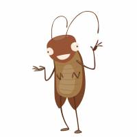 Unfertilized cockroach eggs are more likely to hatch if females live in groups, a study finds. | ISTOCK