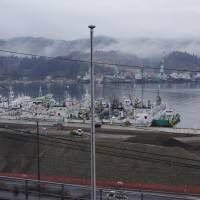 Fishing boats are moored at the main fishing port of Kesennuma, Miyagi Prefecture, late last month. The town\'s bay area is still waiting for redevelopment six years after the 2011 quake-tsunami disaster. | REIJI YOSHIDA