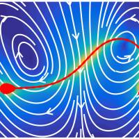 A mathematical analysis of fluid around sperm shows it swims highly rhythmically. Kyoto University professor does the math and finds that sperm swim to a beat