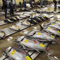 More than 70 percent of wholesalers at the famed Tsukiji market in Tokyo reportedly do not want to relocate to the newly built Toyosu market due to concerns about soil pollution. 70% of Tsukiji fish wholesalers oppose relocating to Toyosu: petition