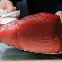 Wholesalers cut tuna in blocs before selling them to sushi restaurants or other customers. | KYODO