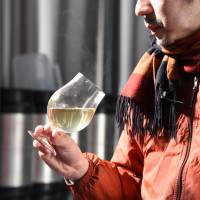 Koichi Fujita, a beer manager for the Brussels group bars, samples the early stages of Haru no Ibuki.  | SATOKO KAWASAKI