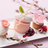 Welcome spring among the blossoms
