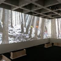 A video installation as part of \"Physicatopia\" | PHOTO BY TAKUYA MATSUMI, CONTACT GONZO