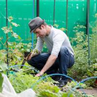 Green fingers: Jon Walsh works on his community garden patch in Tokyo. | STEVE MORIN