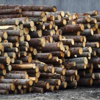 Softwood lumber is stacked at Murray Brothers Lumber Company woodlot in Madawaska, Ontario, on Tuesday. The upper Midwest timber industry is welcoming the Trump administration’s announcement that it’s imposing tariffs averaging 20 percent on softwood lumber entering the United States from Canada. Trump threatens Canada over dairy trade, slaps tariff on lumber
