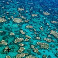 This undated aerial photo shows the extent of coral bleaching in a section of the Great Barrier Reef in Queensland. | AFP-JIJI