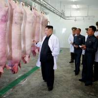 This undated picture released by North Korea\'s official Korean Central News Agency (KCNA) via KNS on Sunday shows North Korean leader Kim Jong Un (L) visiting a pig farm at Taechon Air Base of the Korean People\'s Army. | KCNA VIA KNS / VIA AFP-JIJI