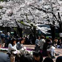Workers enjoy their lunch break underneath cherry blossom trees at a park in Tokyo on Monday. | AFP-JIJI